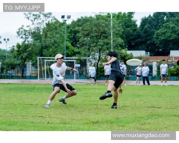 飞盘运动的崛起与挑战：深圳飞盘队的运营模式全解析