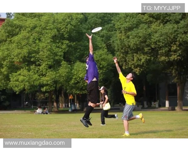 飞盘盛宴:深入了解上海飞盘队的训练与竞技状态