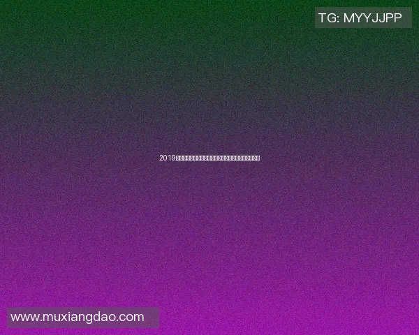 2019年篮网与湖人激战回顾：明星球员对决与精彩瞬间解析